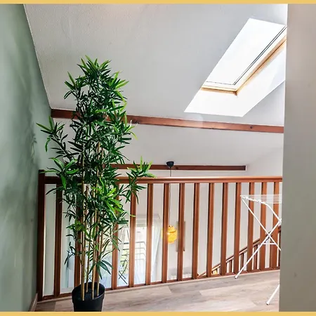 I Moderne I Collonge 公寓 Collonges-sous-Saleve